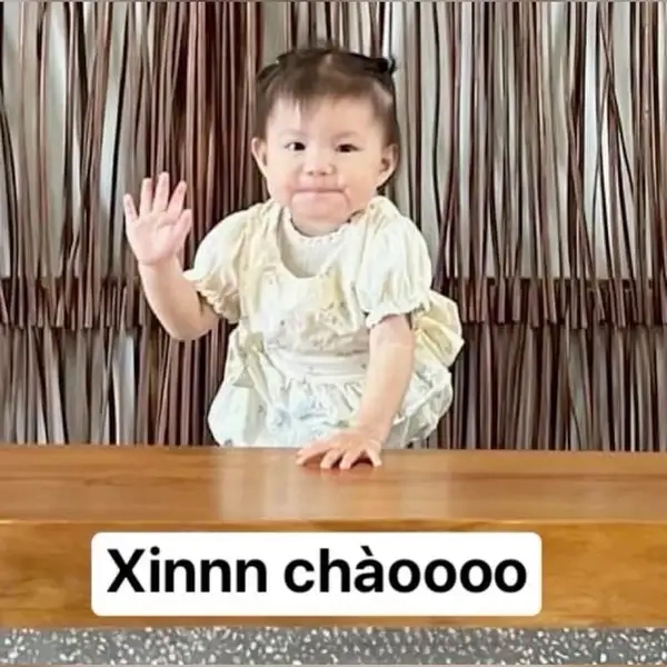 Chào bạn meme ngộ nghĩnh và thân thiện với lời chào dễ mến.