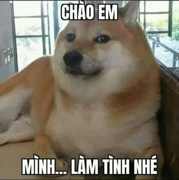 Meme chàChào ngày mới meme truyền năng lượng tích cực cho mọi người.aChào ngày mới meme truyền năng lượng tích cực cho mọi người. cute đầy cảm hứng để khởi đầu câu chuyện vui vẻ.