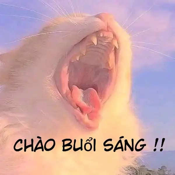 Meme chào tạm biệt hài hước với cách chia tay thú vị.