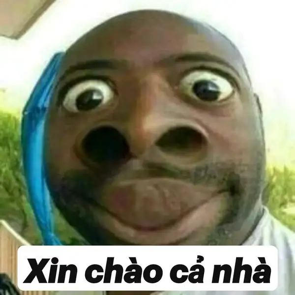 Ảnh meme xin chào ngộ nghĩnh mang lại tiếng cười.