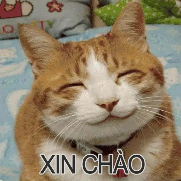 Chào meme sáng tạo với phong cách độc lạ.