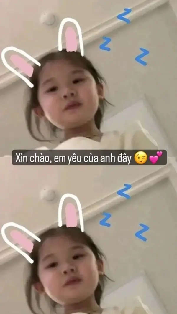 Meme xin chào cute khiến ai cũng yêu thích ngay từ cái nhìn đầu tiên.