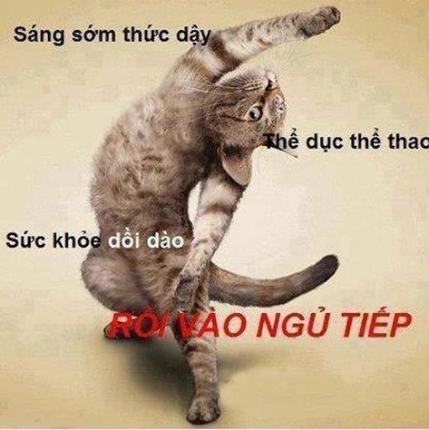 Em chào đại ca meme hài hước và nổi bật trong mọi tình huống.