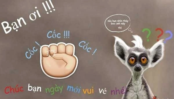 Chào em meme đáng yêu và hài hước trong từng biểu cảm.