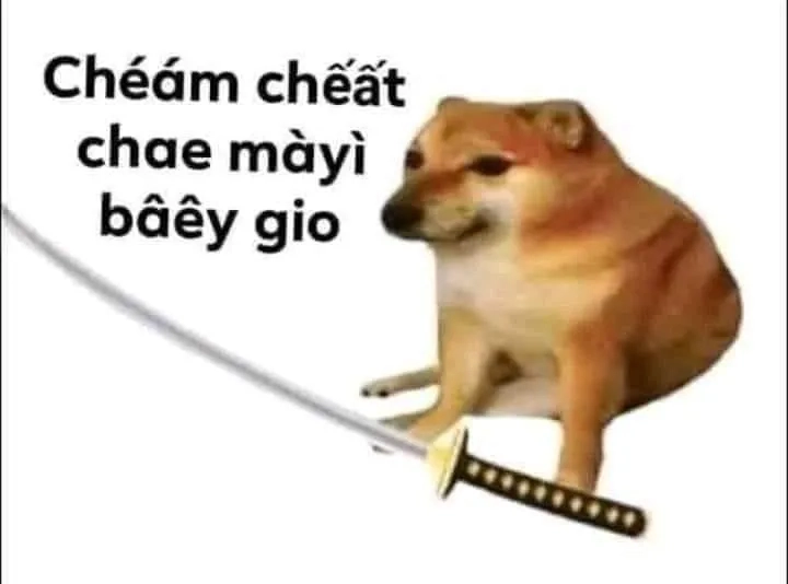 Meme chó cầm dao cực kỳ ngộ nghĩnh và đầy bất ngờ, khiến bạn không thể ngừng cười.