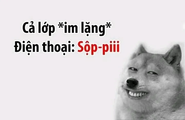 Meme chó hài mang đến sự thư giãn tuyệt vời với những khoảnh khắc vui nhộn.