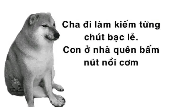 Meme chó cười nhe răng mang đến sự dễ thương và rất nhiều tiếng cười.