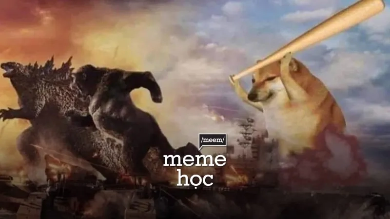 Meme chó Husky cực kỳ vui nhộn với vẻ mặt ngộ nghĩnh và đáng yêu.