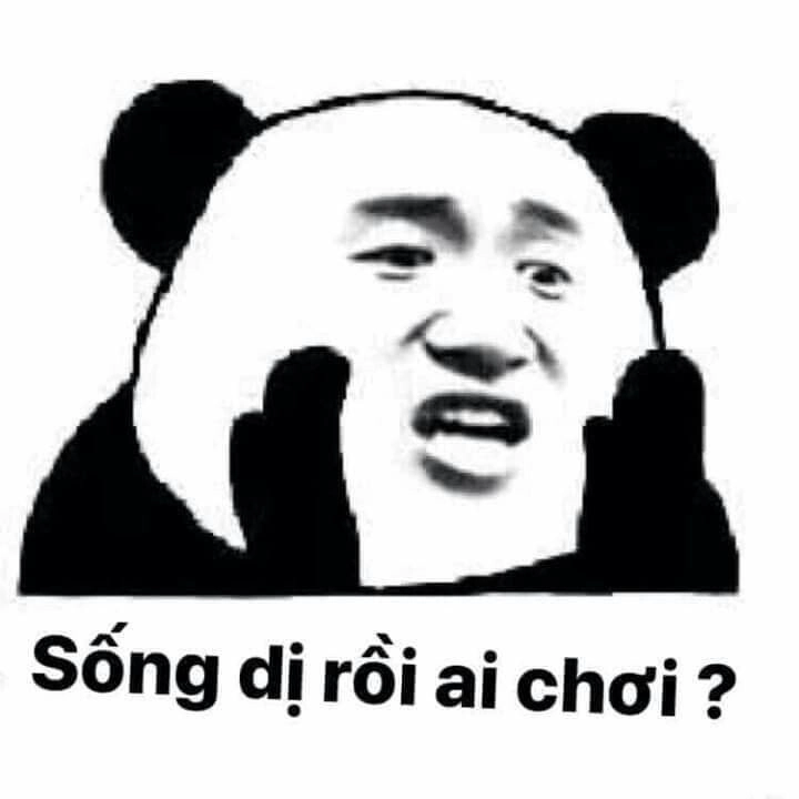 Những meme không có gì khiến bạn không nhịn được cười.