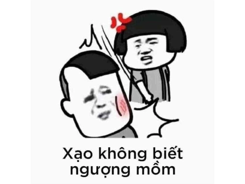 Meme đánh cho tỉnh này cực kỳ thú vị và hài hước, khiến bạn phải bật cười.