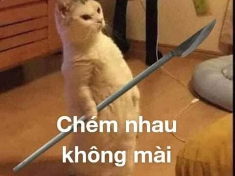 Meme đánh đi này tạo ra sự bất ngờ và vui nhộn.