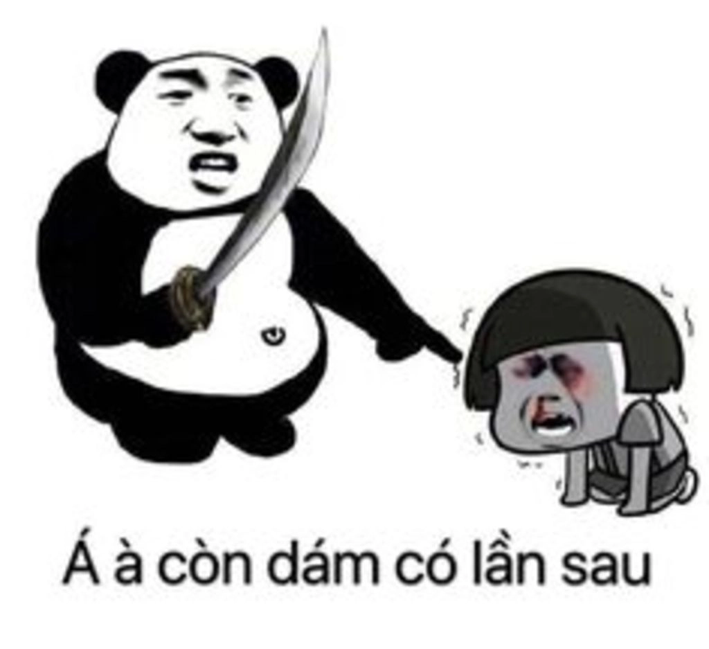 Meme mèo đánh giá này cực kỳ dễ thương và đầy thú vị.