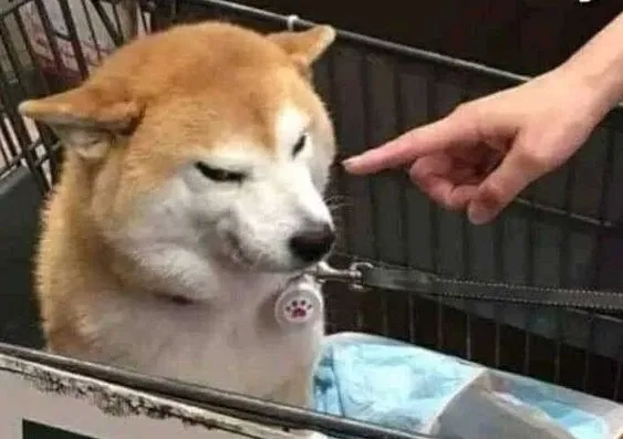 Meme doge cầm súng tạo nên hình ảnh thú vị, gây ấn tượng mạnh mẽ cho người xem.