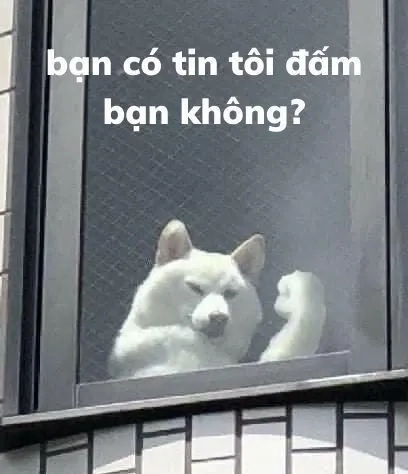 Cheems dog meme với hình ảnh chú chó Cheems luôn khiến người xem phải bật cười.