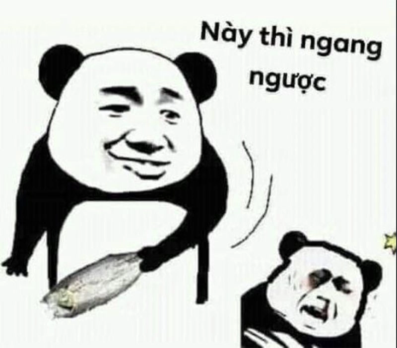 Meme đừng dỗi nữa là lời an ủi ngọt ngào cho những ai đang giận dỗi.