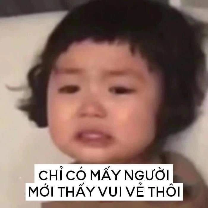 Cảm xúc meme mèo cute dỗi thật khó cưỡng với vẻ mặt như muốn làm bạn xoa dịu.