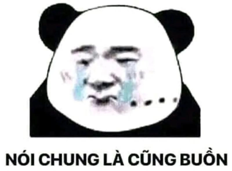 Meme giận dữ thể hiện một cảm giác giận dỗi nhưng vẫn đáng yêu.