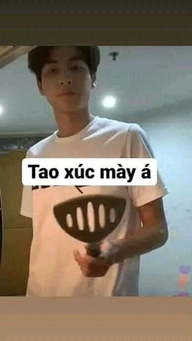 Những meme mèo hài khiến bạn bật cười không ngớt.