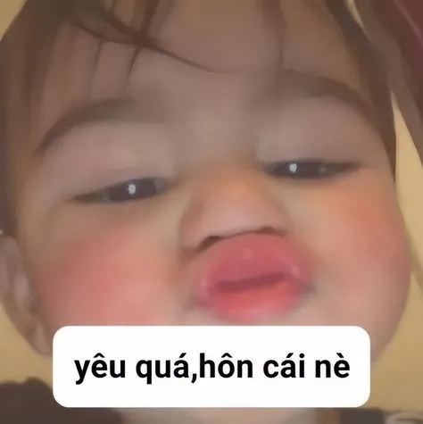 Khám phá ngay meme hài bựa, cực chất và vui nhộn.