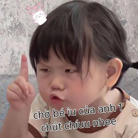 Những ảnh meme hài hước khiến ai cũng bật cười.