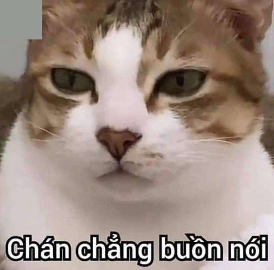 Khám phá ngay meme bộ xương hết cứu, hài hước pha chút ma mị.