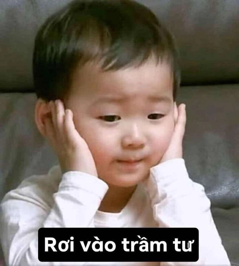 Khám phá ngay meme đéo cứu, siêu lầy lội và độc đáo.