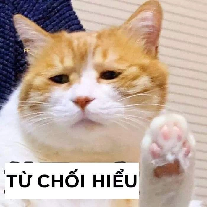 Tìm hiểu nguồn gốc meme hết cứu, siêu thú vị và đầy bất ngờ.