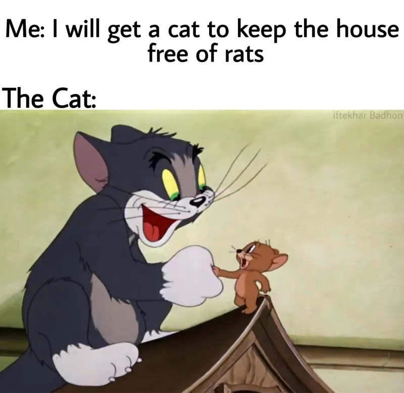 Mèo Tom meme Tom and Jerry vui nhộn, giải trí cực đỉnh.