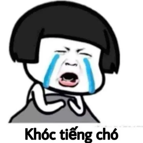 Sự kết hợp tuyệt vời giữa khóc meme mèo buồn và biểu cảm dễ thương.