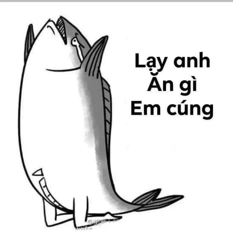 Ảnh meme quỳ lạy này sẽ khiến bạn không thể nhịn cười.