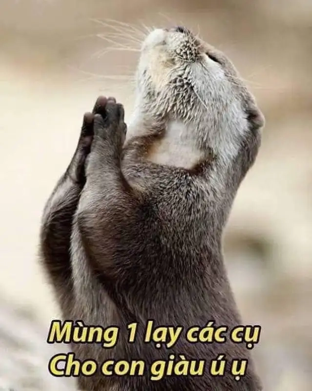 Meme lạy chúa trên cao này khiến bạn bật cười vì sự ngộ nghĩnh.