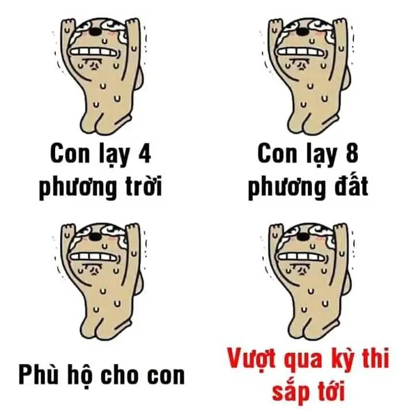 Meme quỳ này rất dễ thương và hài hước.