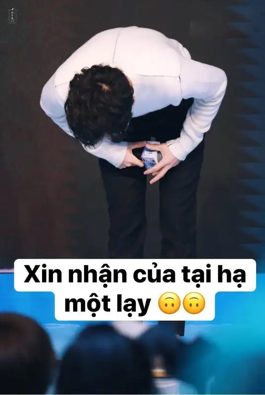 Meme quỳ xuống này cực kỳ dễ thương và vui nhộn.