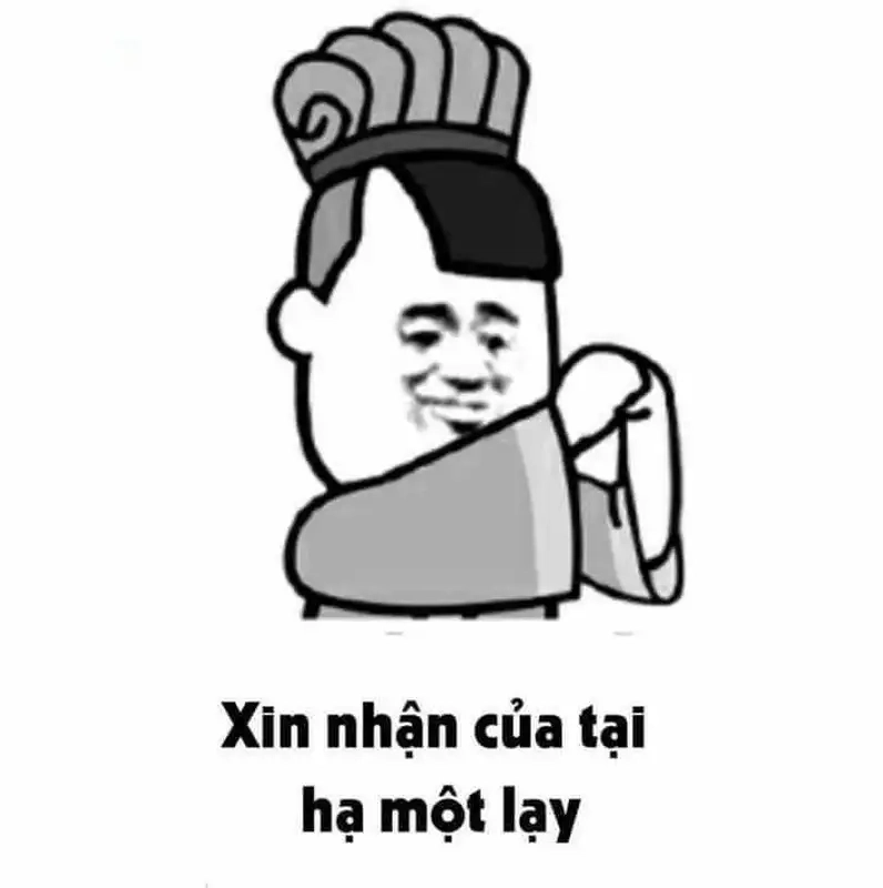 Quỳ xuống meme này sẽ khiến bạn bật cười không ngừng.