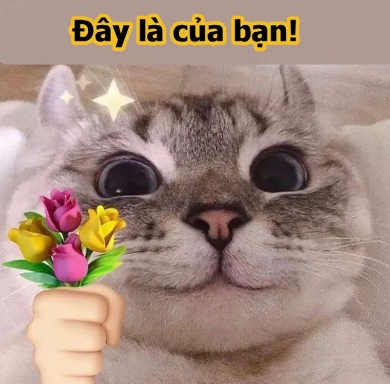 Tặng em bông hoa meme này sẽ khiến bạn mỉm cười vì cử chỉ ngọt ngào từ meme này.