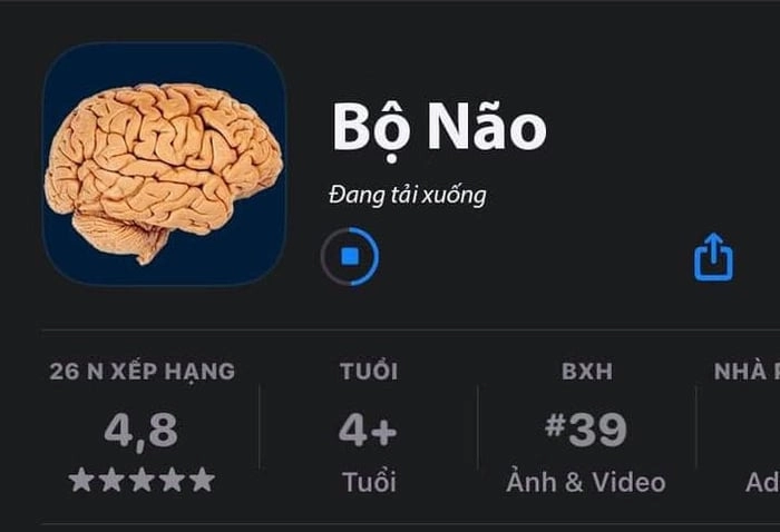 Meme mèo mặt ngu siêu hài với biểu cảm 