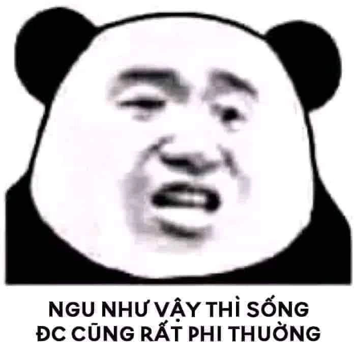 Ảnh meme ngu dốt gây ấn tượng với cách chế ảnh cực kỳ thông minh.