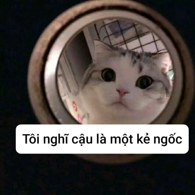 Meme chuc ngu ngon nhẹ nhàng và đáng yêu, mang lại cảm giác vui vẻ.