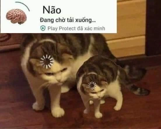 Meme thằng ngu biểu cảm hài hước và cách chơi chữ cực thâm.