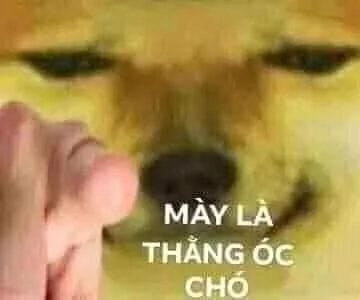 Meme cười nguy hiểm với nụ cười cực ngầu, hài nhưng không kém phần bá đạo.