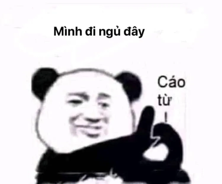 Chúc mèo của bạn ngủ ngon với meme ngủ ngon mèo siêu dễ thương.