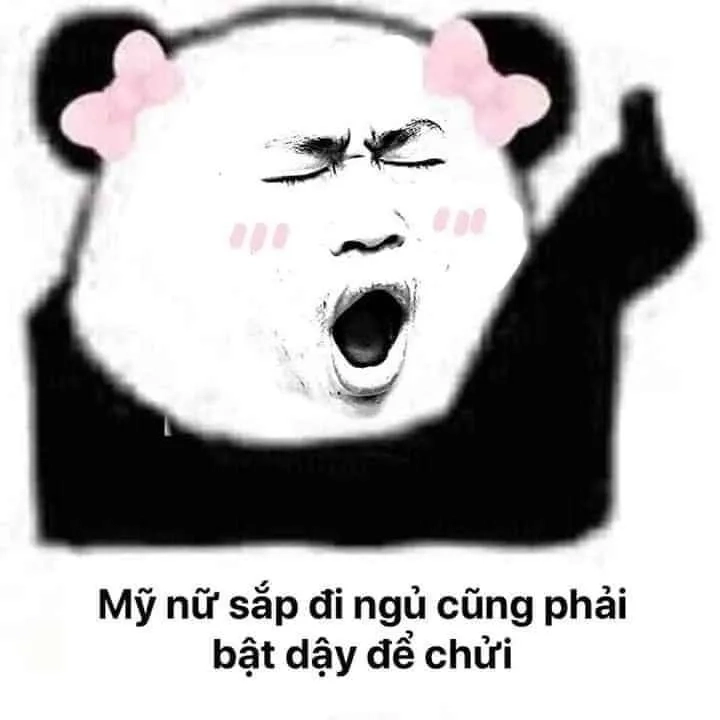 Tìm thấy niềm vui trong ngủ ngon meme mèo này.