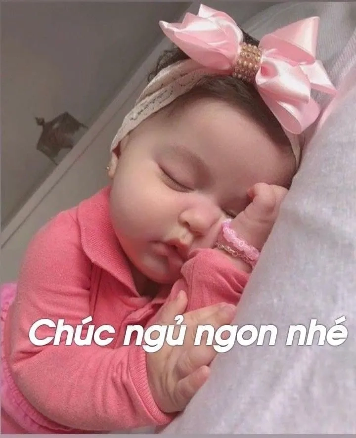 Gửi lời chúc ngủ ngon với good night meme mèo chúc ngủ ngon ngọt ngào.