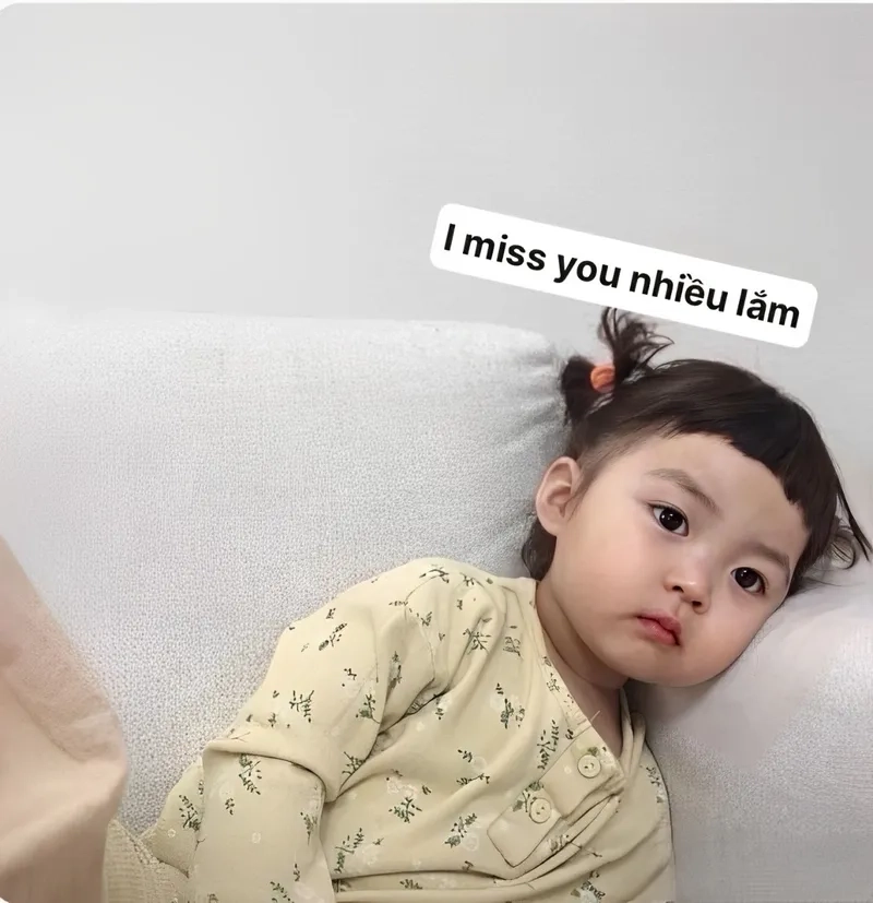 Meme mèo nhớ người yêu siêu cute, đầy tình cảm.