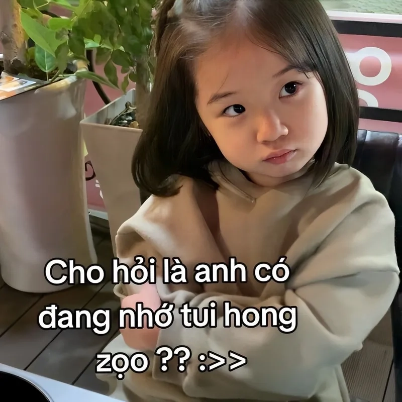 Meme đáng yêu giúp bạn truyền tải cảm xúc tinh tế.