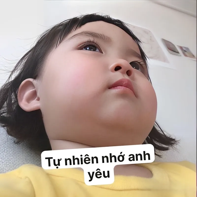 Meme xin lỗi người yêu cực dễ thương, giải tỏa mọi hiểu lầm.