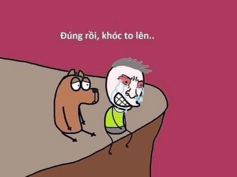 Cười nghiêng ngả với tôm meme đáng yêu.