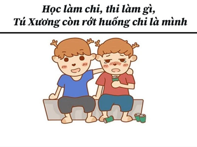 Xem ngay meme con chó ôm đầu cực dễ thương.