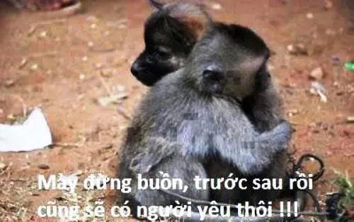 Khám phá ngay dang tay ôm meme siêu thú vị.