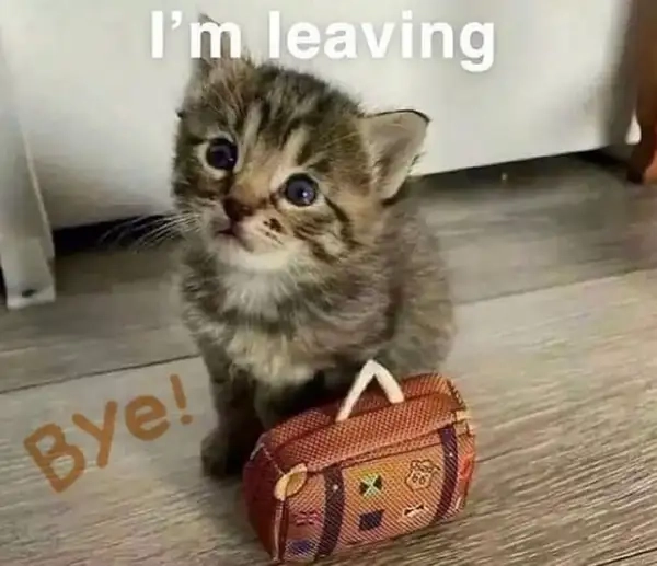 Good bye cute meme đáng yêu, mang lại cảm xúc tích cực.